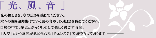 「光、風、音」 光の優しさを、空の広さを感じてください。 木々の間を通り抜けていく風の音や、心地よさを感じてください。 自然の中で、愛犬とゆっくり、そして楽しく過ごす時間。 「天空」という意味が込められた『チェレステ』でお待ちしております